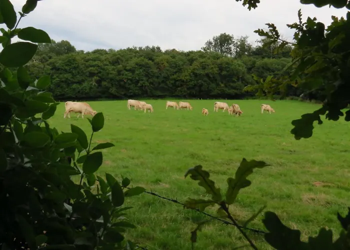 Gite Ecoconcu Charmant Proche Zoo De La Fleche