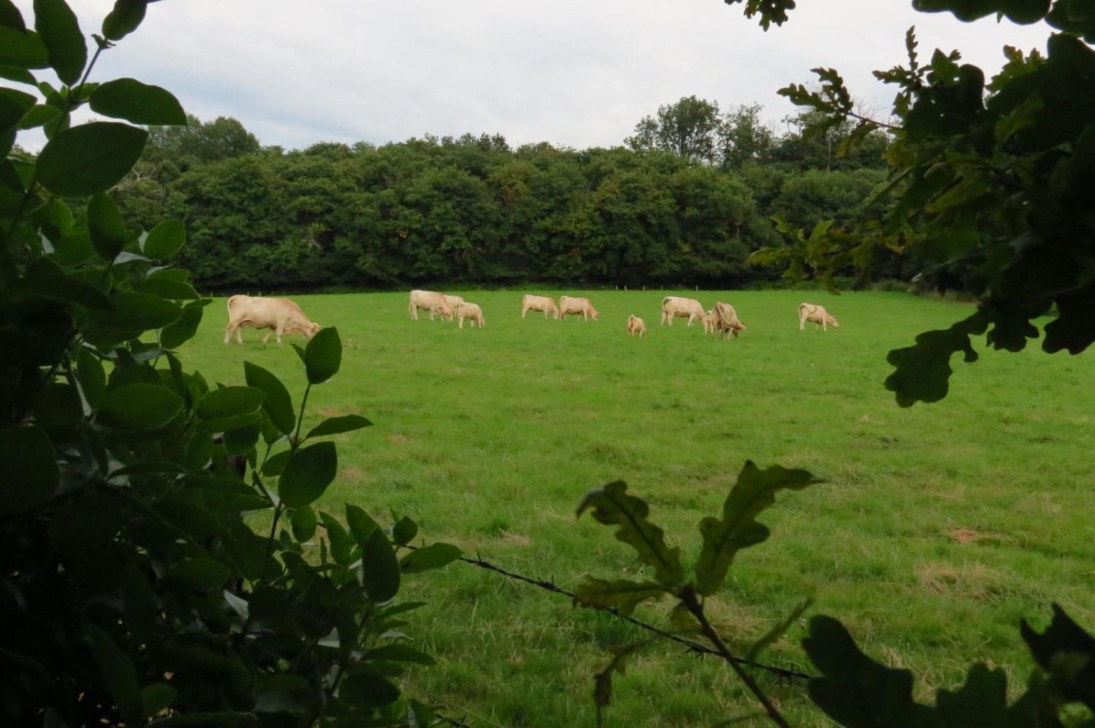 Appartement écoconçu Proche Zoo De La Flèche Clermont-Creans